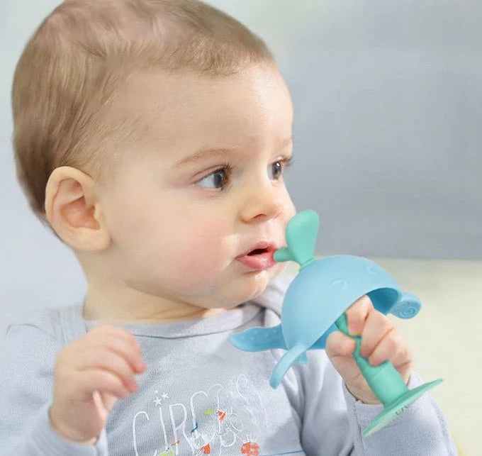 Baby Teething Toy
