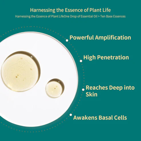 Crogooe Wormwood Essential Oil – 100% Pure | Argan Infused | Face, Hair & Body | 10ml