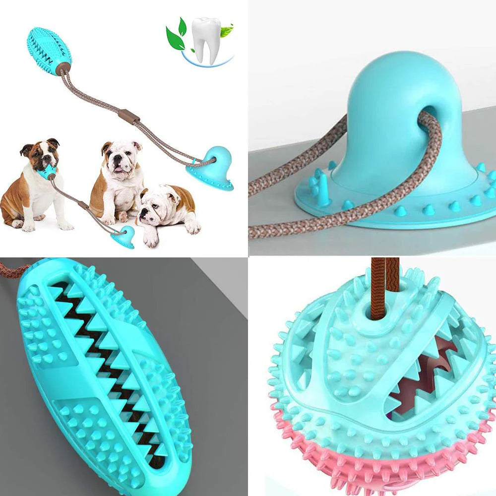 Interactive Dog Chew Toy – Suction Cup & Tug-of-War Ball