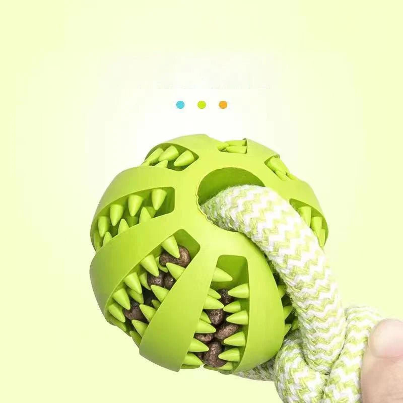Durable Tug-of-War Dog Toy โ Chew, Fetch & Play