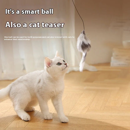 Interactive Rolling Mouse Toy – Fun &amp; Engaging for Pets