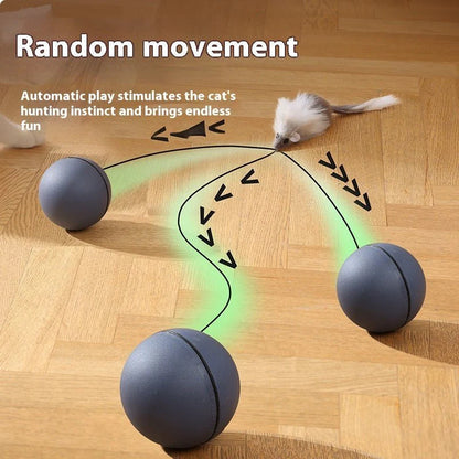 Interactive Rolling Mouse Toy – Fun &amp; Engaging for Pets