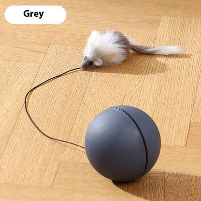 Interactive Rolling Mouse Toy – Fun &amp; Engaging for Pets