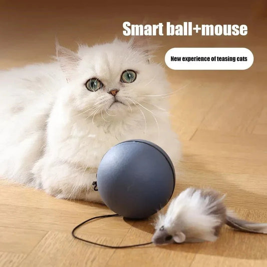 Interactive Rolling Mouse Toy – Fun &amp; Engaging for Pets