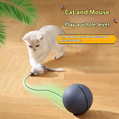 Interactive Rolling Mouse Toy – Fun &amp; Engaging for Pets