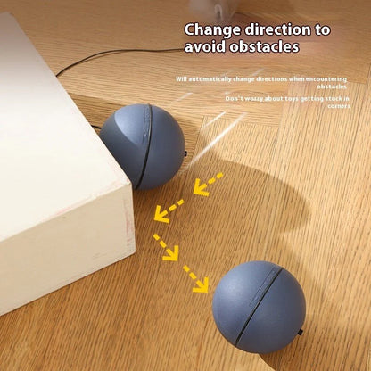 Interactive Rolling Mouse Toy – Fun &amp; Engaging for Pets