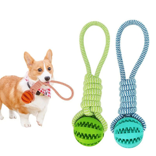 Durable Tug-of-War Dog Toy – Chew, Fetch & Play