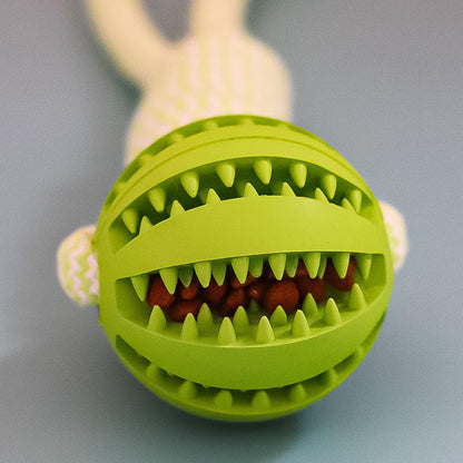 Durable Tug-of-War Dog Toy – Chew, Fetch & Play